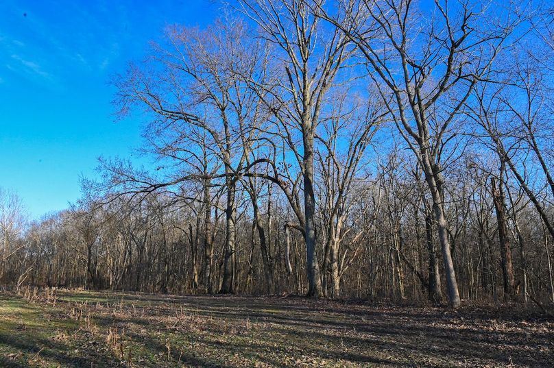 vandalia 450 (2)-2199