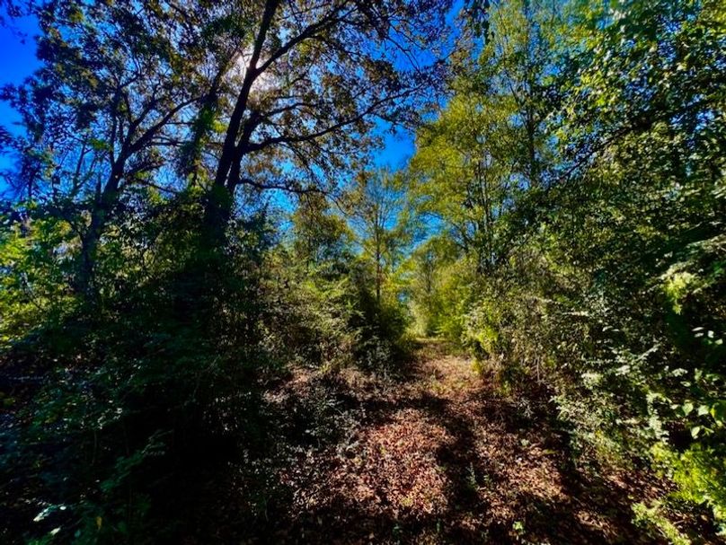 76EEE818-1B37-499C-89AA-6FC37C30E07F_1_105_c