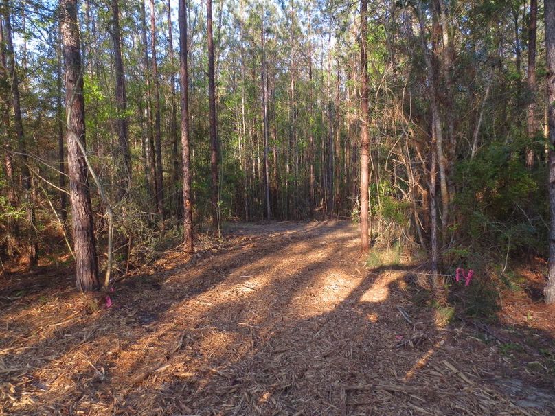 D14AFEE7-D13D-42FF-904F-4CF826870E2C_1_105_c