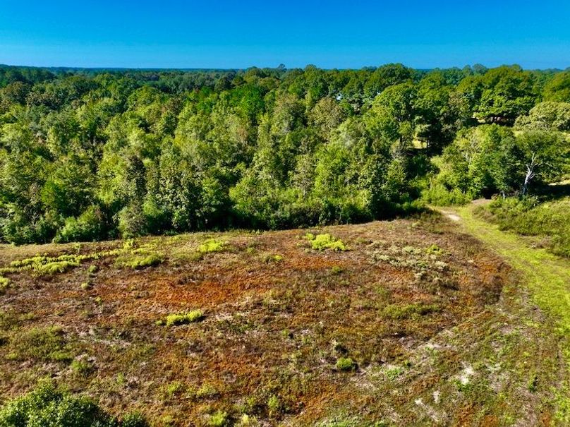 CAF60A18-C524-48C9-8AC2-0725F8F49987_1_105_c