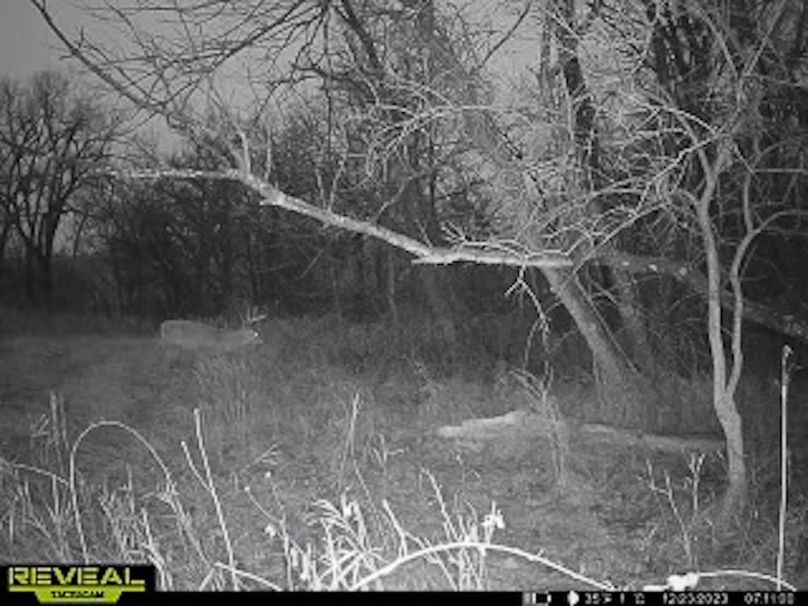 865509050044191-20-4-12232023071119-W1001148