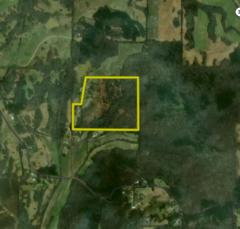 Aerial 