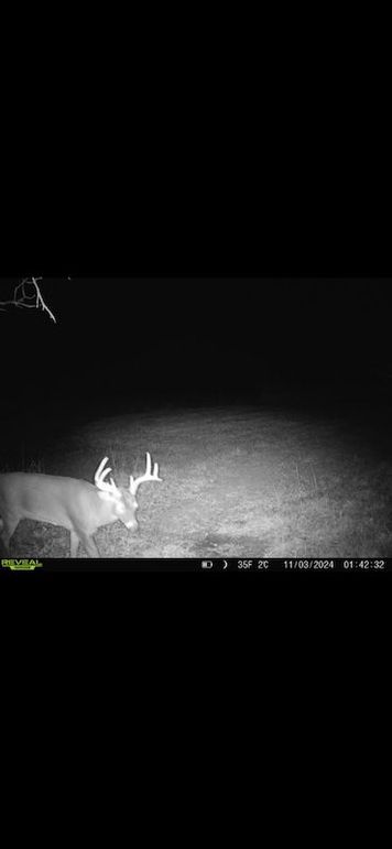 Screenshot 2026-02-27 at 4.13.54 PM