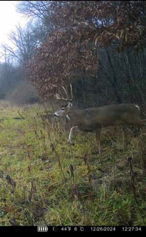 474B7CD1-3B2C-49BC-96EE-BCF0E0E1FB4F_1_201_a