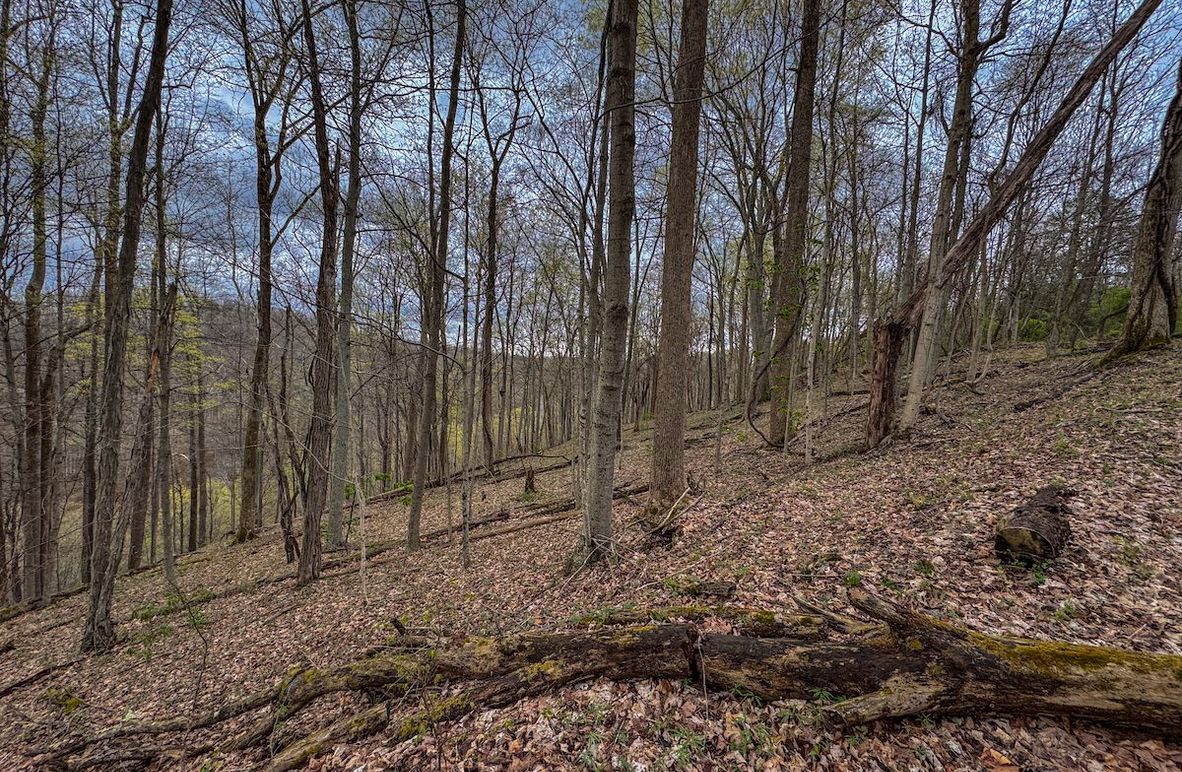 Wirt, WV 39.564 AC Full-05