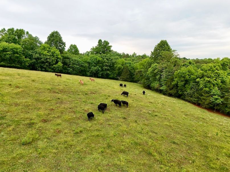 DJI_20260521194736_0035_D