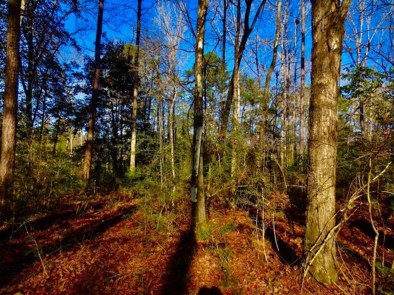 2B47053E-E9F3-41D9-9A4E-C1744E038041_1_105_c