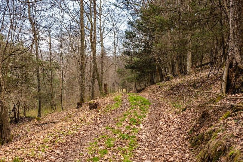 39-web-or-mls-IMG-39