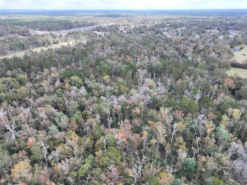 dji_fly_20251118_121114_0720_1763560721534_photo