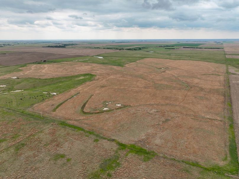 dji_fly_20240515_124438_223_1715795888045_photo