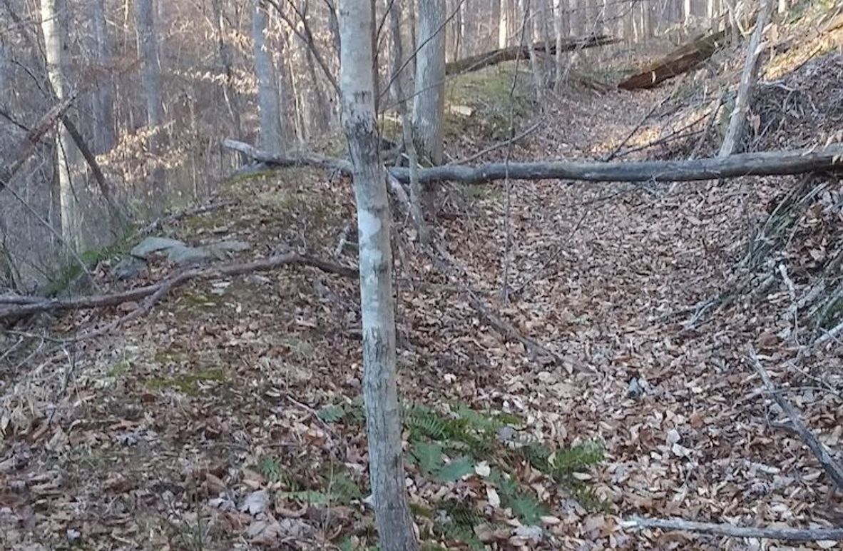 20210109_154327_HDR