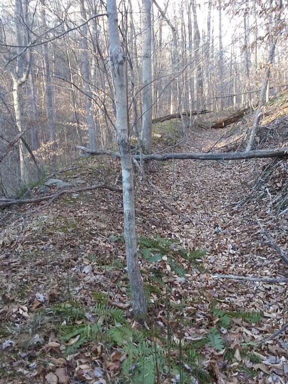 20210109_154327_HDR