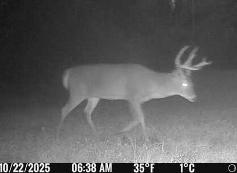 2988275D-E7C6-44EB-813C-BF331530D1EF_4_5005_c