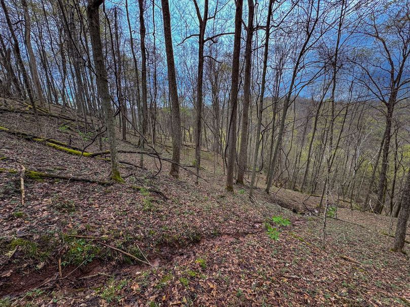 Wirt, WV 39.564 AC Full-25