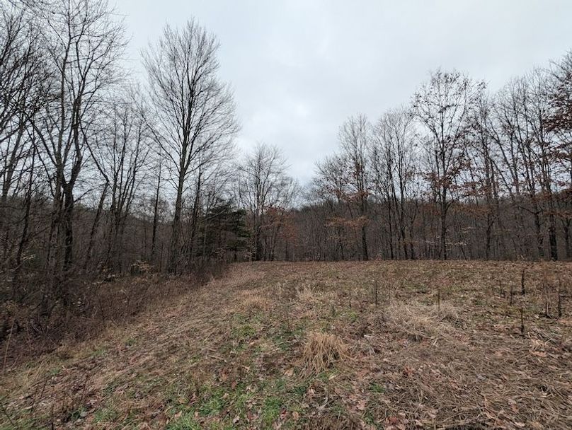 PXL_20260107_204642160