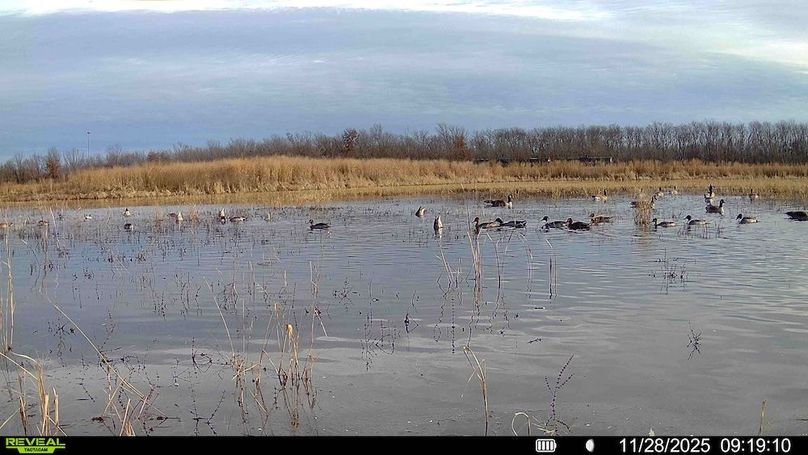 016579009122370-100-3-11282025131609-HD-SYFW00785