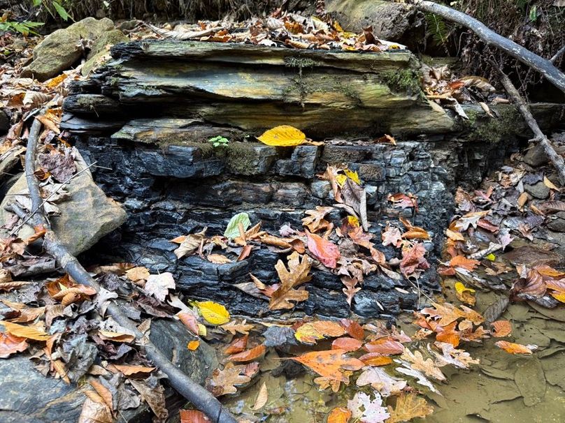 023 look closely, the coal seam is showing itself in the stream bed