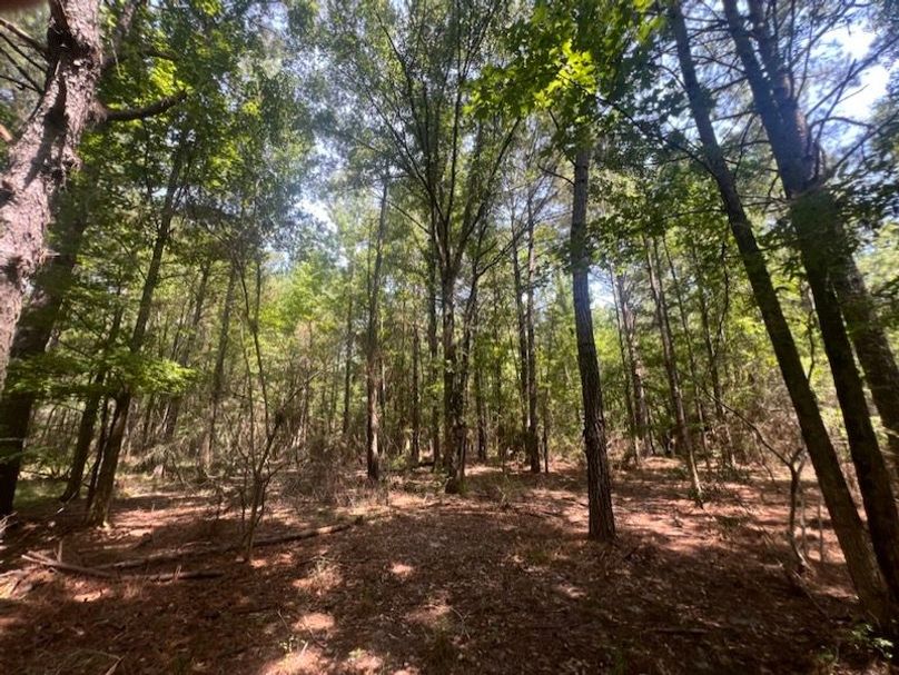 9E10202B-EF6E-4116-8BC0-3928E740519B_1_105_c