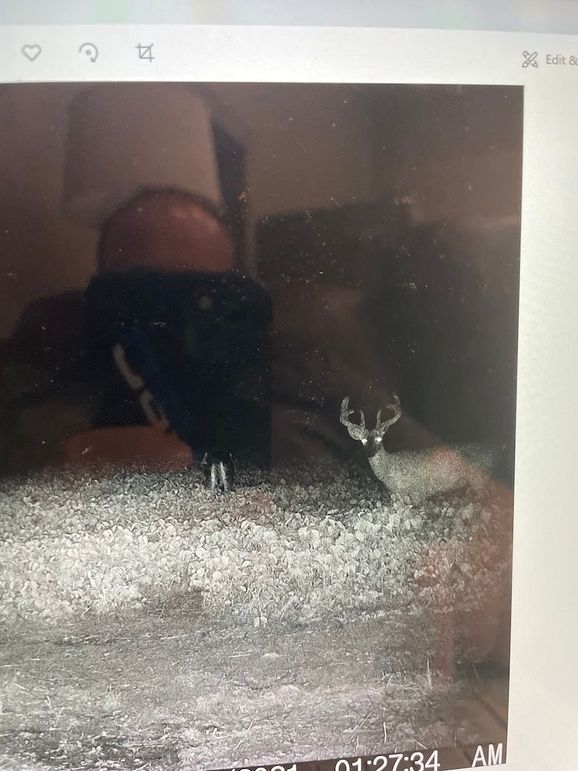 65163611911__B5DCE73A-09CA-4B3C-842C-359FBD9C100E