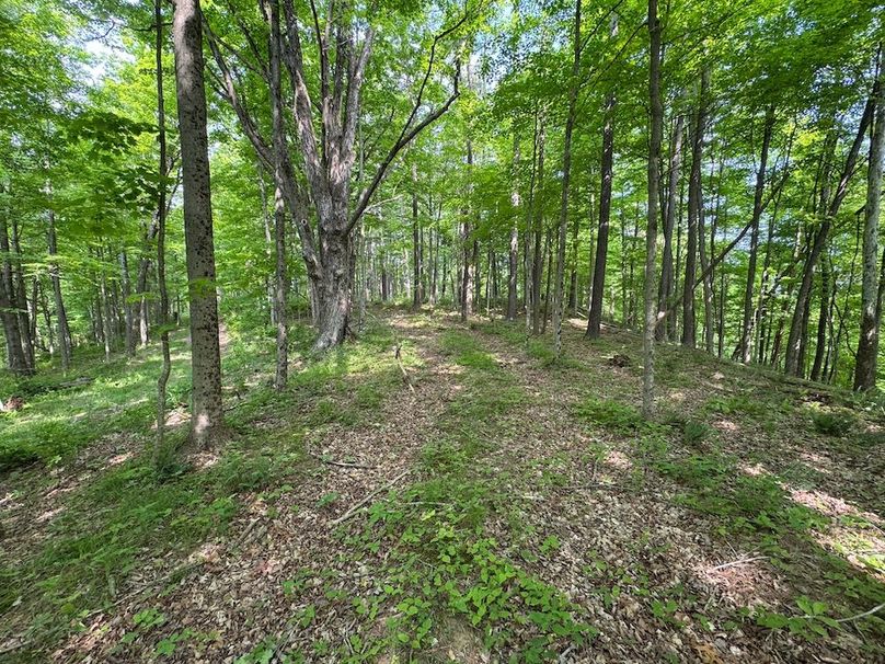 Pleasants, WV 168.59 AC Superior, Swank, Young-066