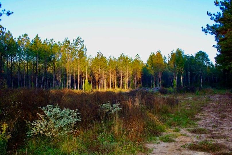 E383E232-E5E1-4327-AF0E-210B6B920889_1_105_c