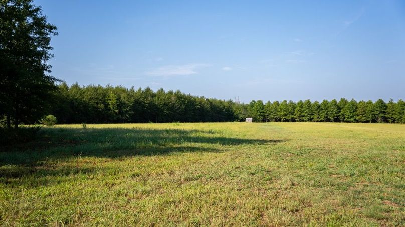 MadisonParLa1372-137