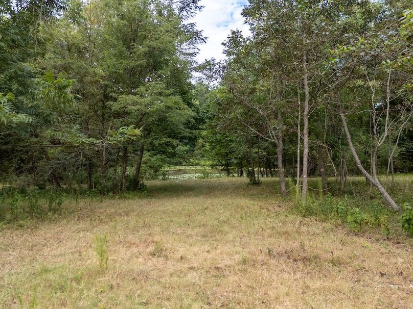 37 Jefferson 117ac - bethard-19