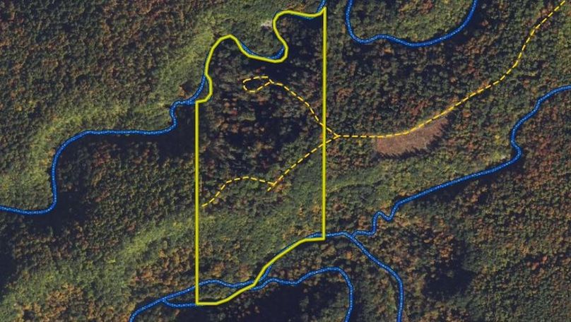 Land ID Wetlands