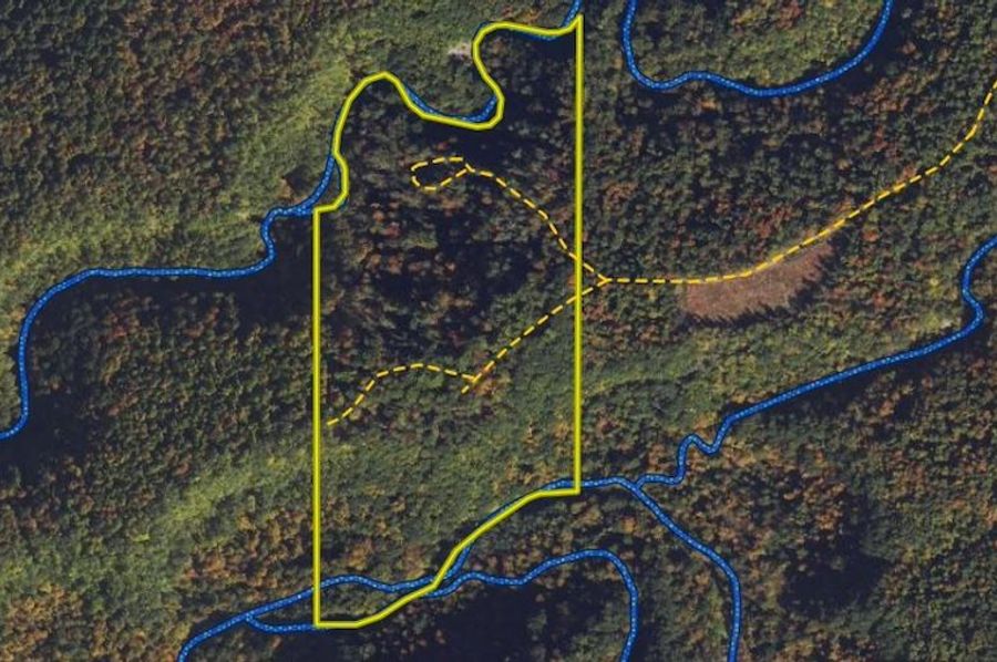 Land ID Wetlands