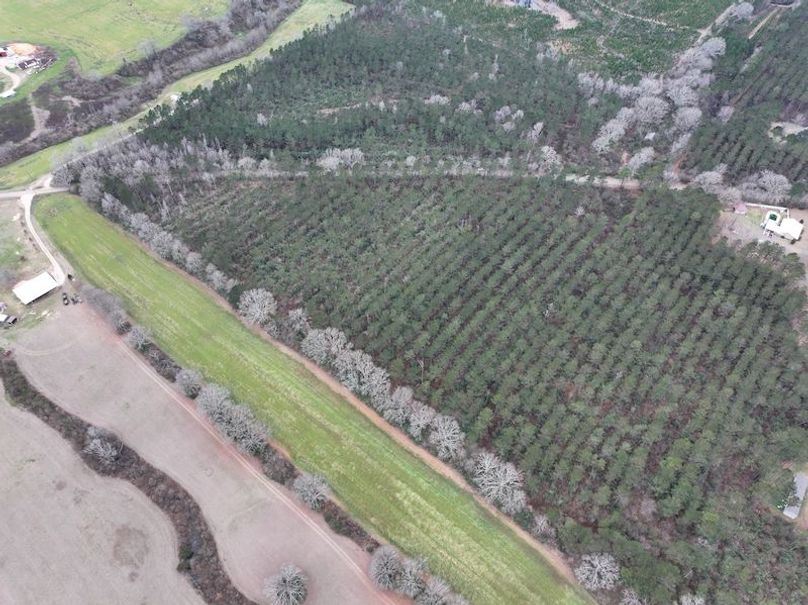 dji_fly_20260217_132924_0118_1771436923693_photo