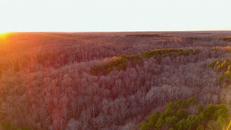 DRONE.00_26_46_04.Still059