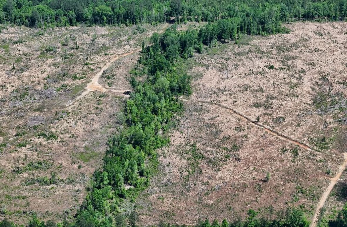 DJI_20250504003613_0460_D