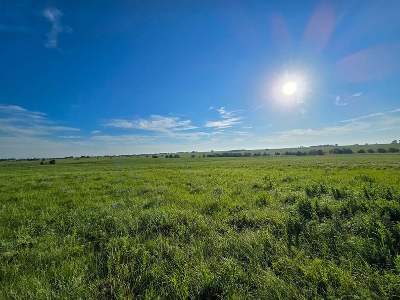 Copy of 20250625_074605