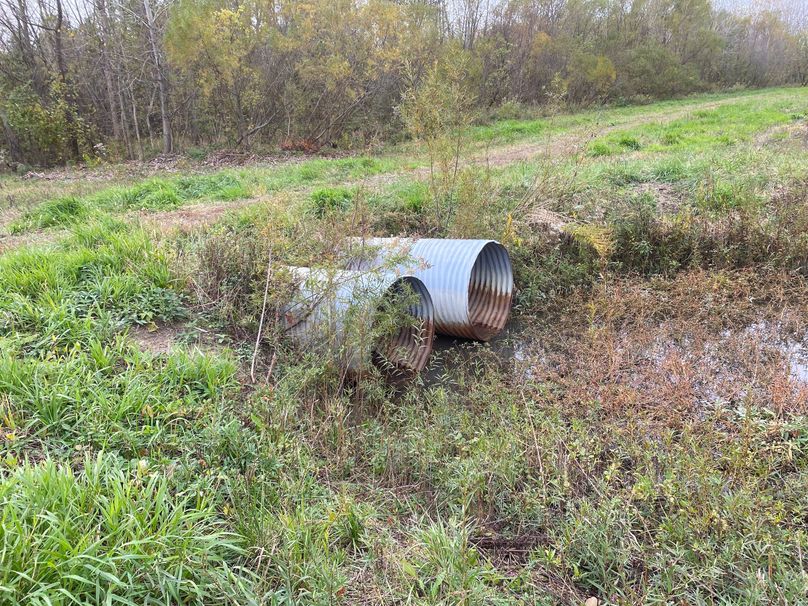 pics from late 2021 and early 2022. New plots being planted in Aug 2023 for new pics (38)