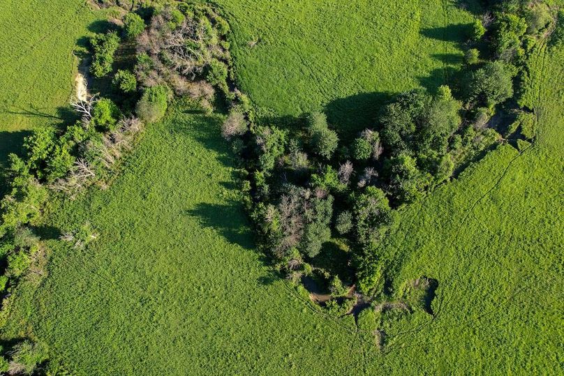 DJI_0694