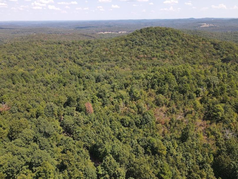 dji_fly_20250902_122424_771_1756833880646_photo