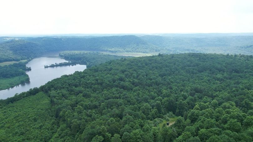 dji_fly_20240621_115202_311_1718985448149_photo