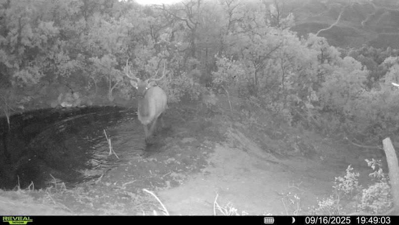 016578004083249-81-2-09162025194903-V-SYFW00225