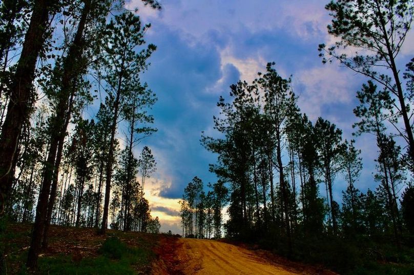 DA64912A-8B06-4C39-AA37-75864C870F8D_1_105_c