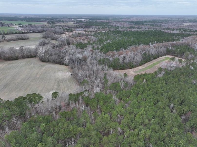 dji_fly_20260218_143728_0517_1772500088519_photo