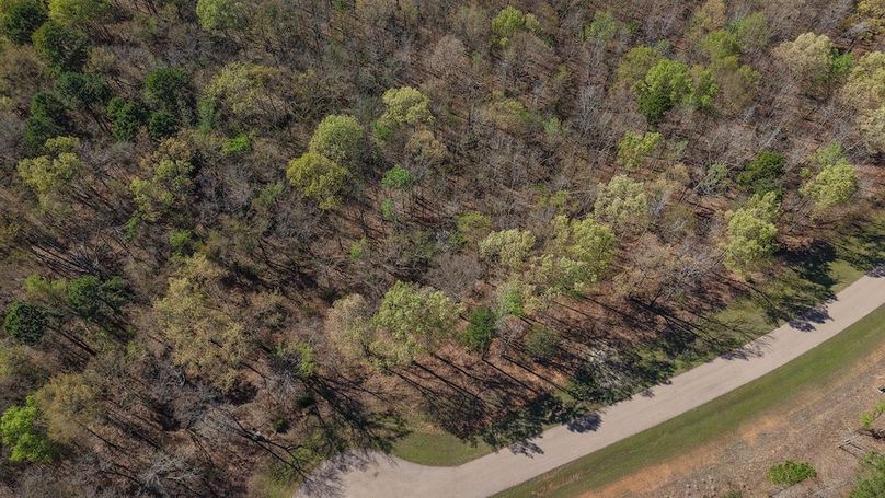 DJI_20260311011531_0038_D