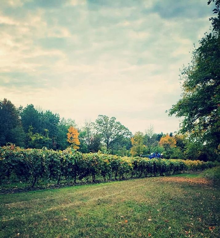 IMG_20260302_152927 (1)