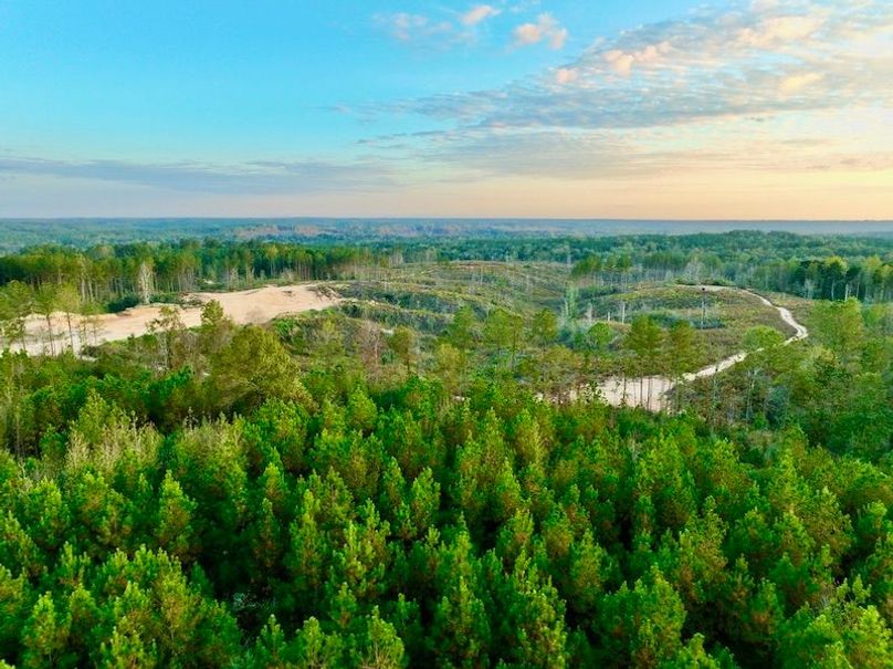 2F21AD48-CD77-4393-88FB-C79E3DD83F1F_1_105_c