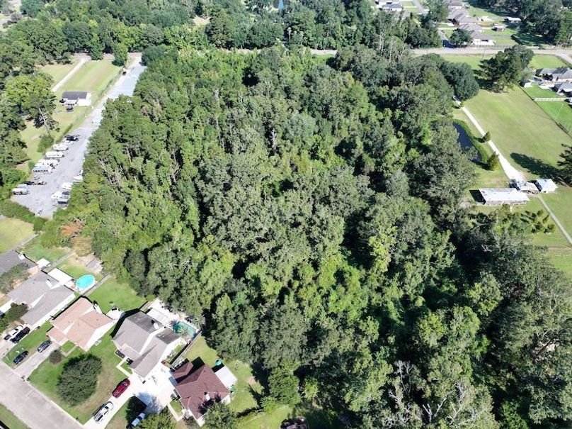 dji_fly_20250910_095732_0444_1757523434234_photo