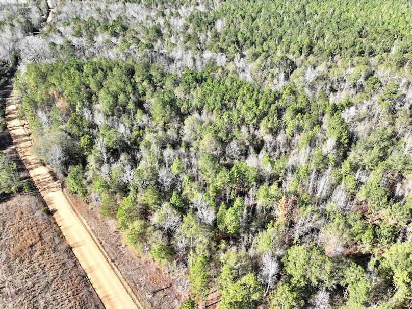 dji_fly_20251128_132724_14_1764354902428_photo