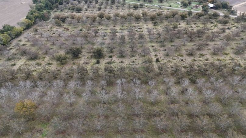 dji_fly_20251107_043256_0043_1762484034311_photo