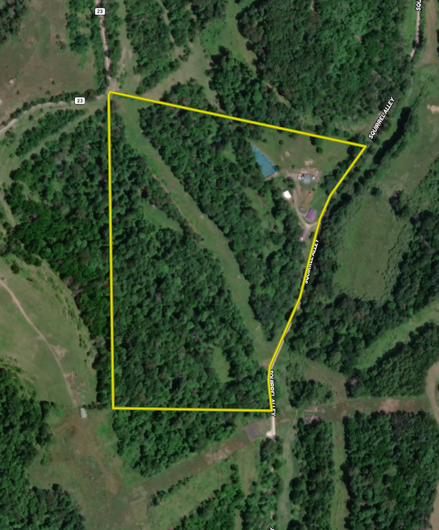 Screen Shot 2024-02-13 at 6.54.39 PM