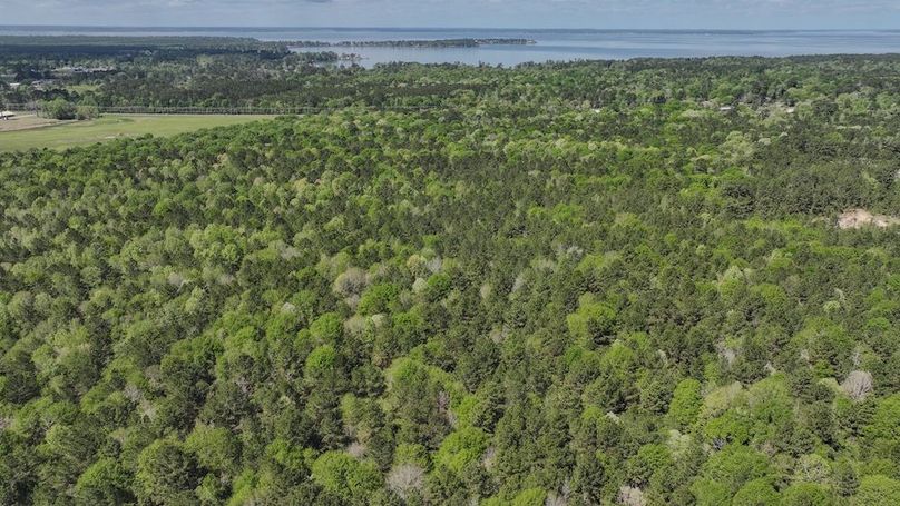 DJI_20260327115129_0025_D