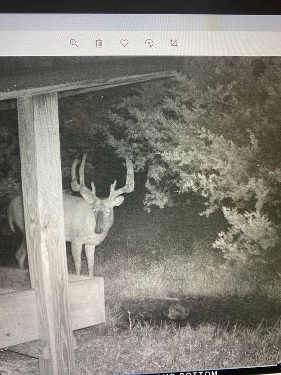 61799069209__FD08F4D1-0DA4-413D-9888-C72321B3535A