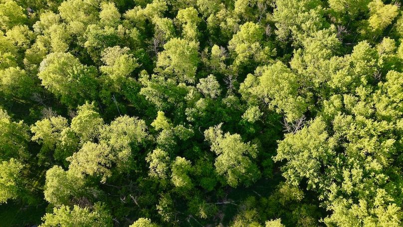 La Crosse 56.17 - 13